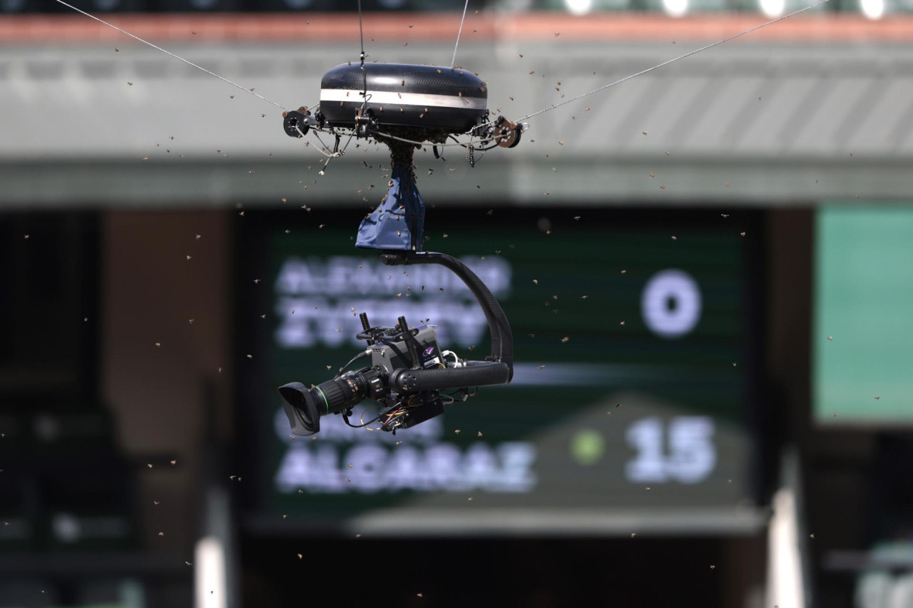 Invasión de abejas en Indian Wells. Foto: EFE.