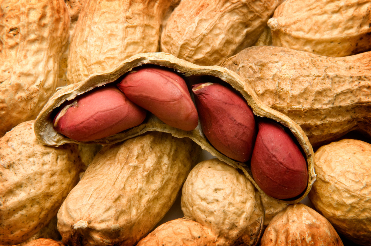 Maní con cascara. Foto: Reuters, Alamy