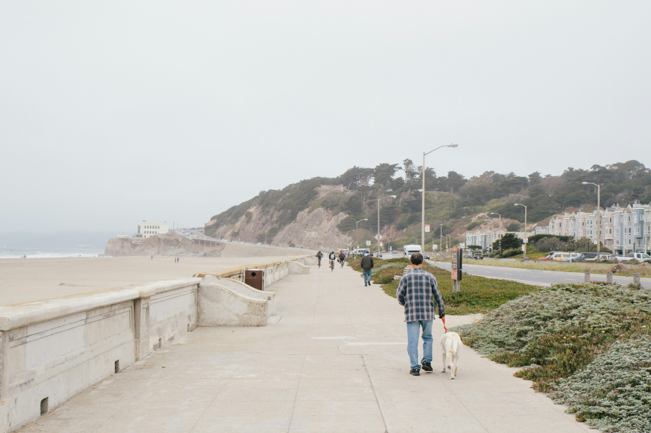 Los beneficios de sacar a pasear al perro. Foto: Unsplash.