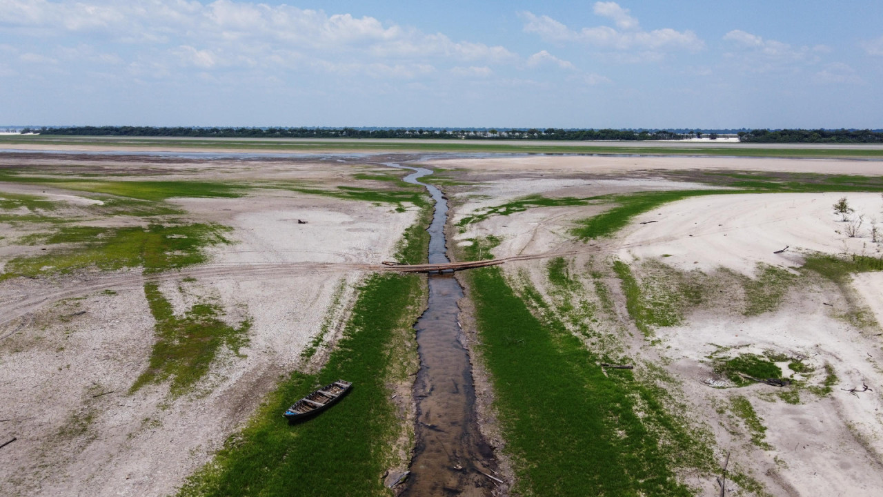 Sequía en el Amazonia. Foto: EFE