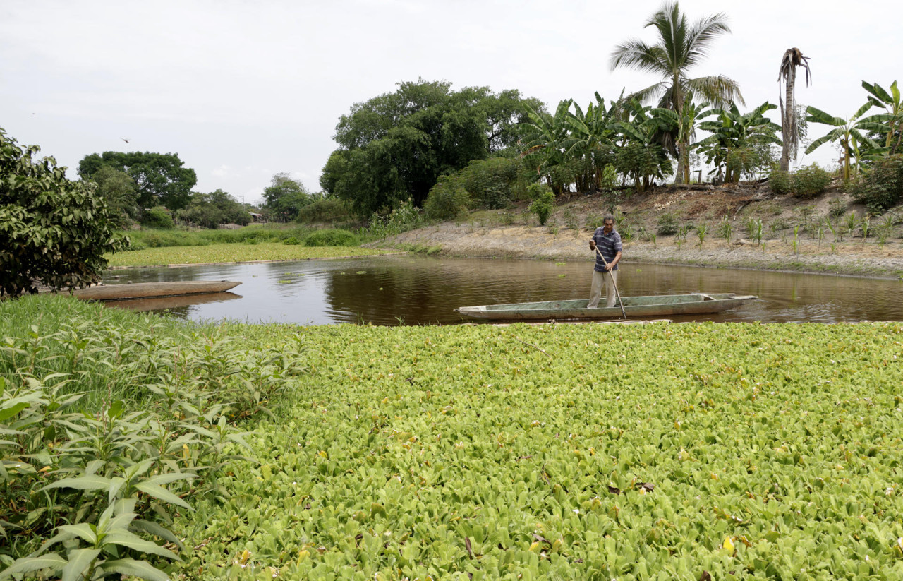 Sequía del río Magdalena. Foto: EFE