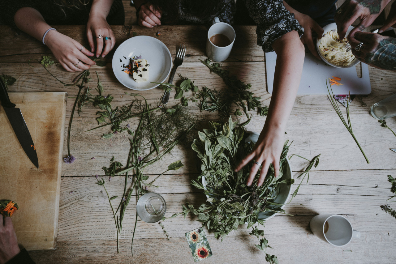 Hierbas medicinales. Foto: Unsplash