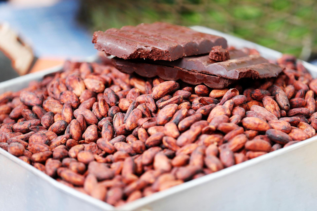 Cacao. Foto: EFE.