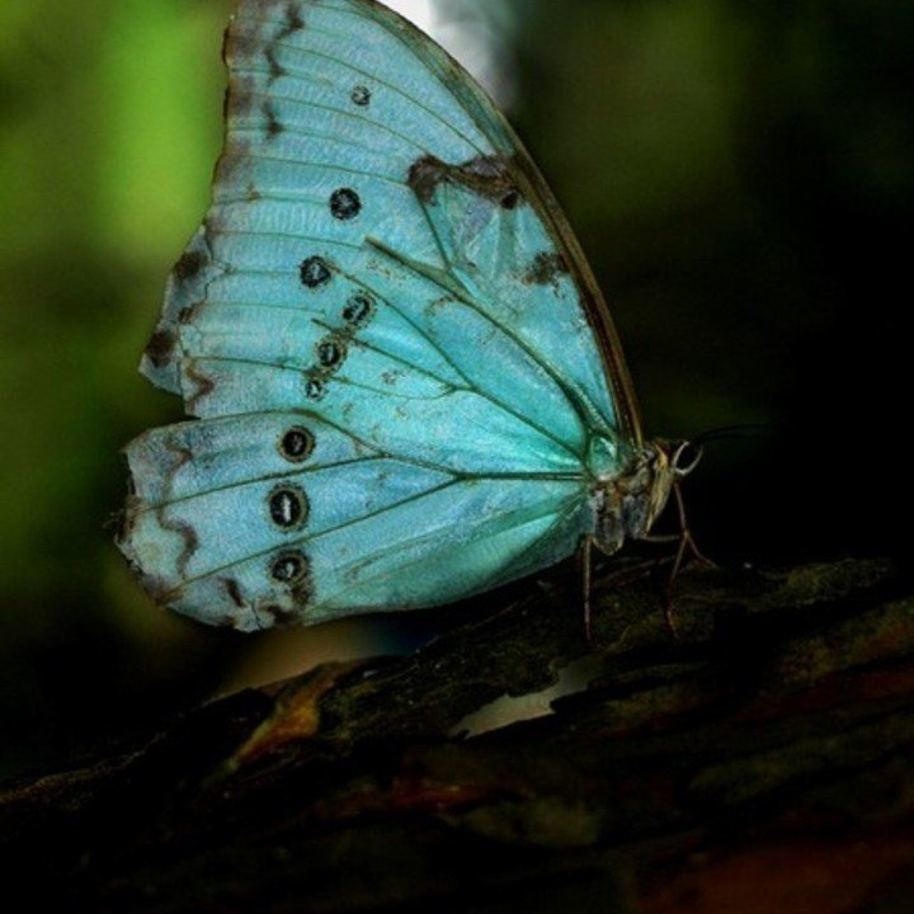 Reserva Natual Punta Lara. Foto: Instagram.