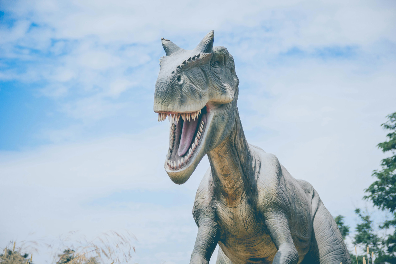 Dinosaurio. Foto: Unsplash