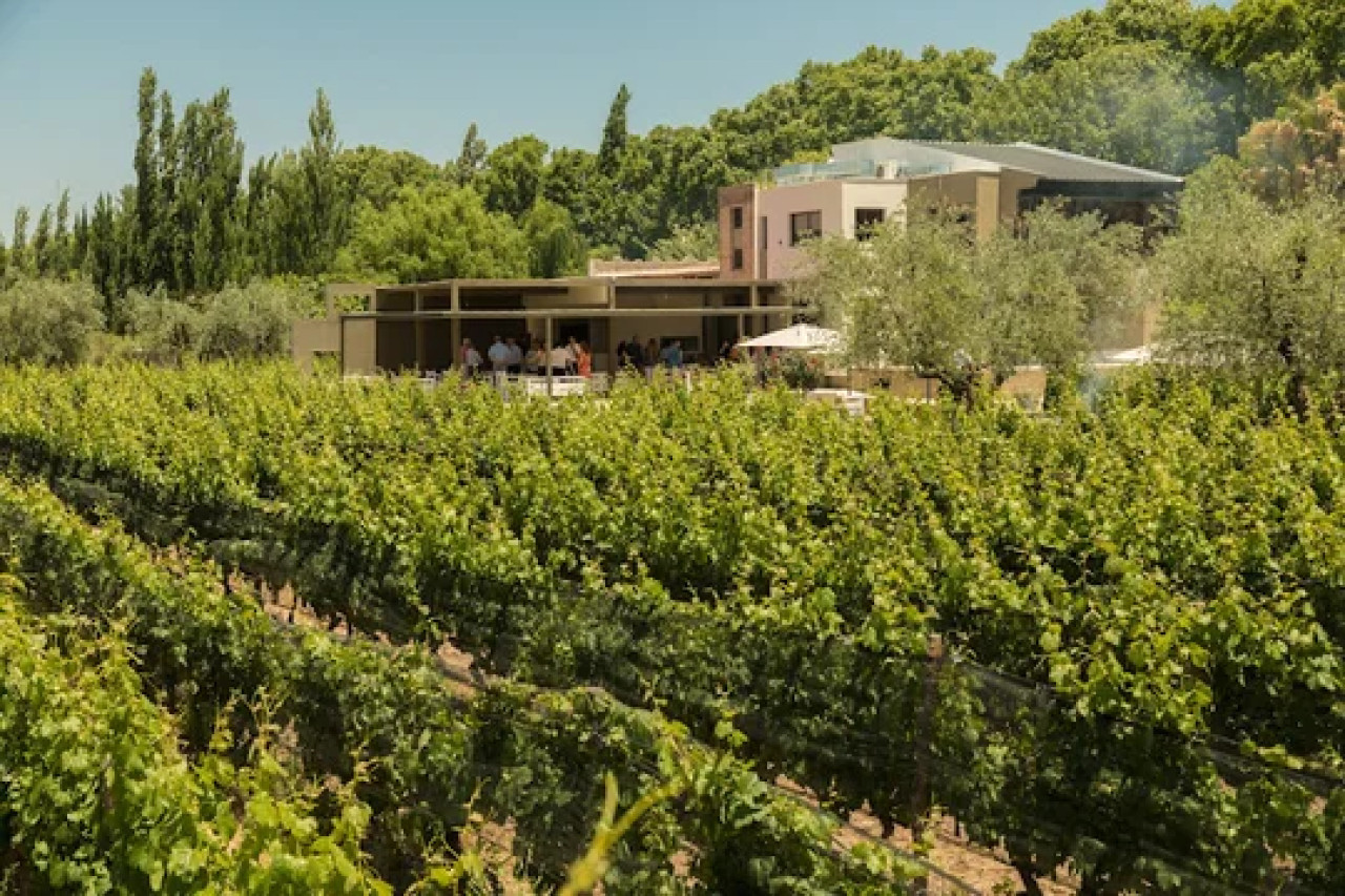 Bodega Roberto Bonfanti. Foto NA.