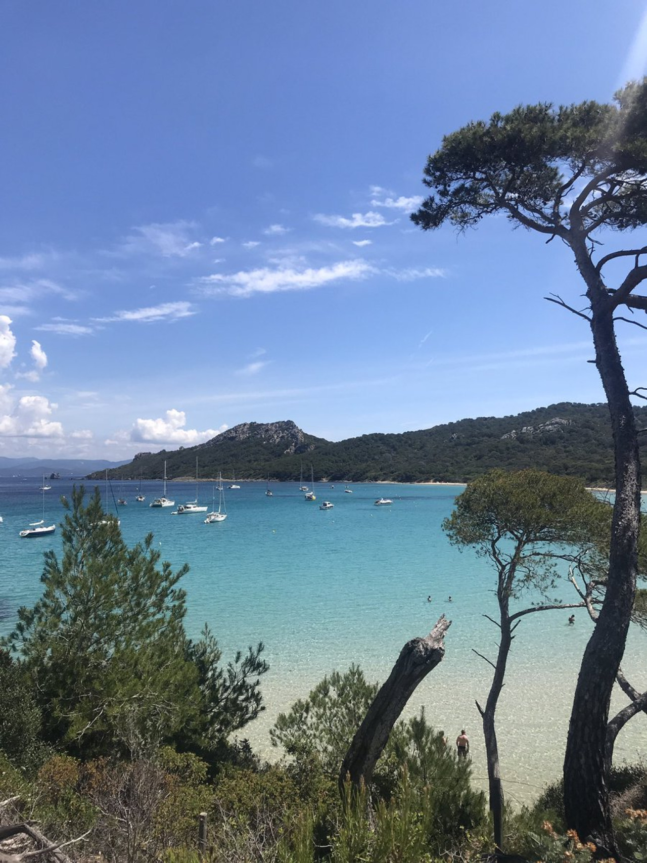 Isla de Porquerolles. Foto X.