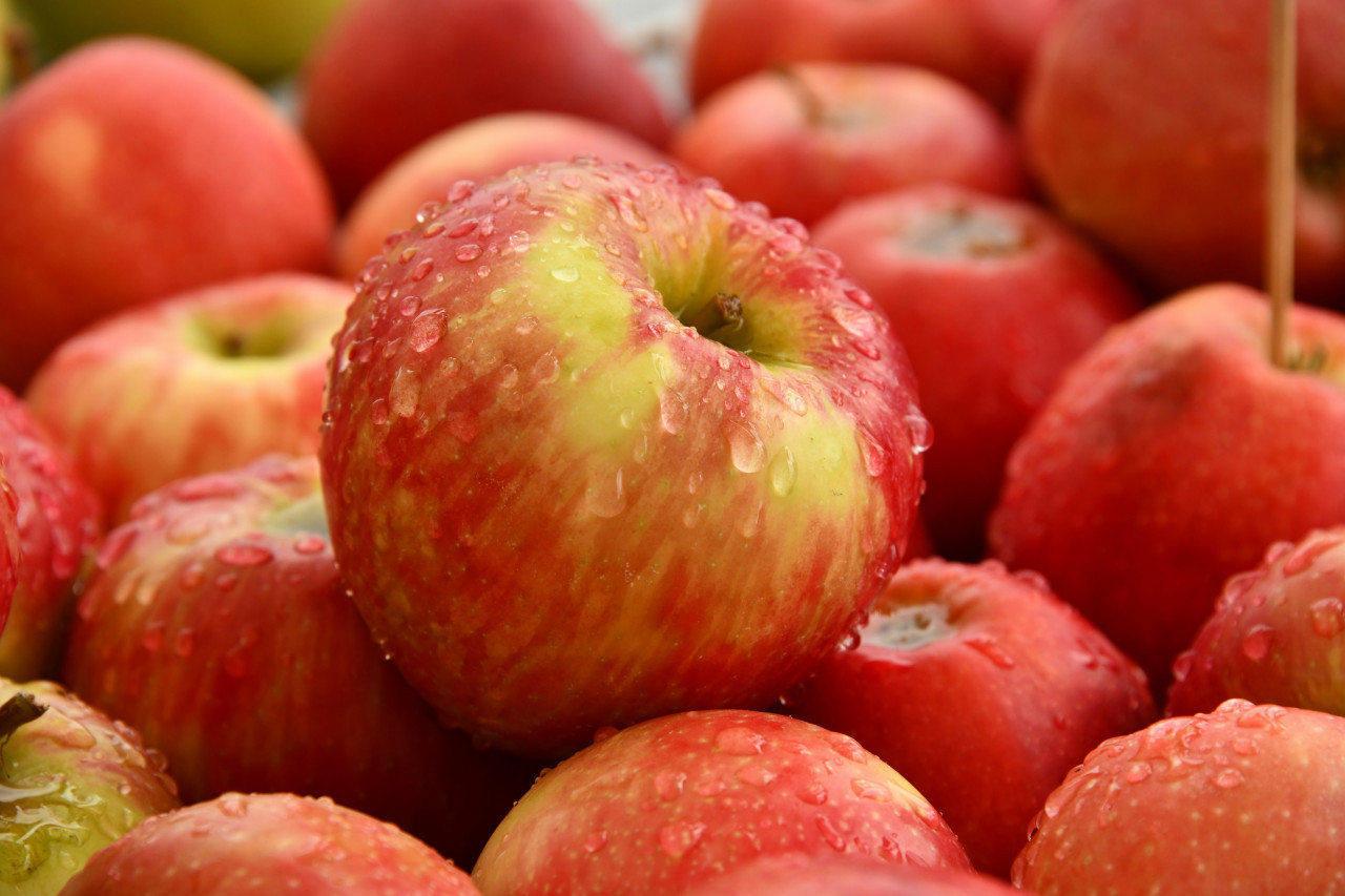 Manzana, fruta, nutrientes. Foto: Unsplash