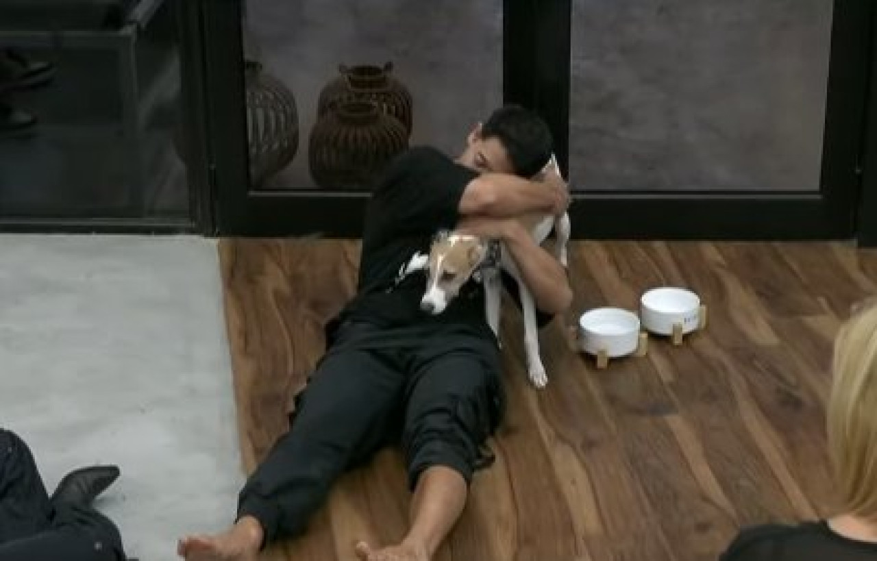 Arturo, el perro que entró a la casa de Gran Hermano. Foto X.