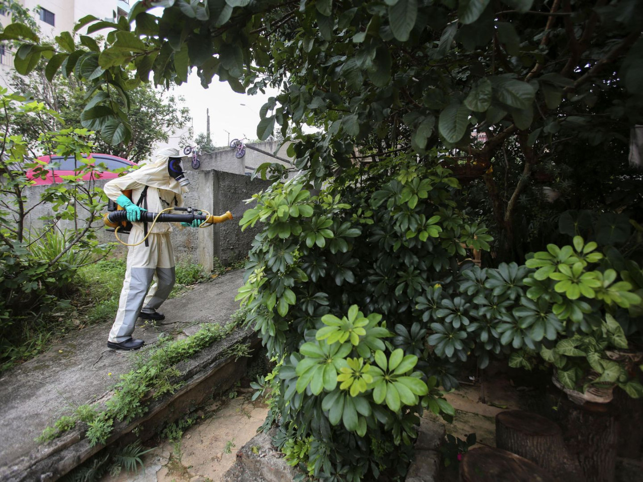 Fumigación por dengue. Foto: EFE