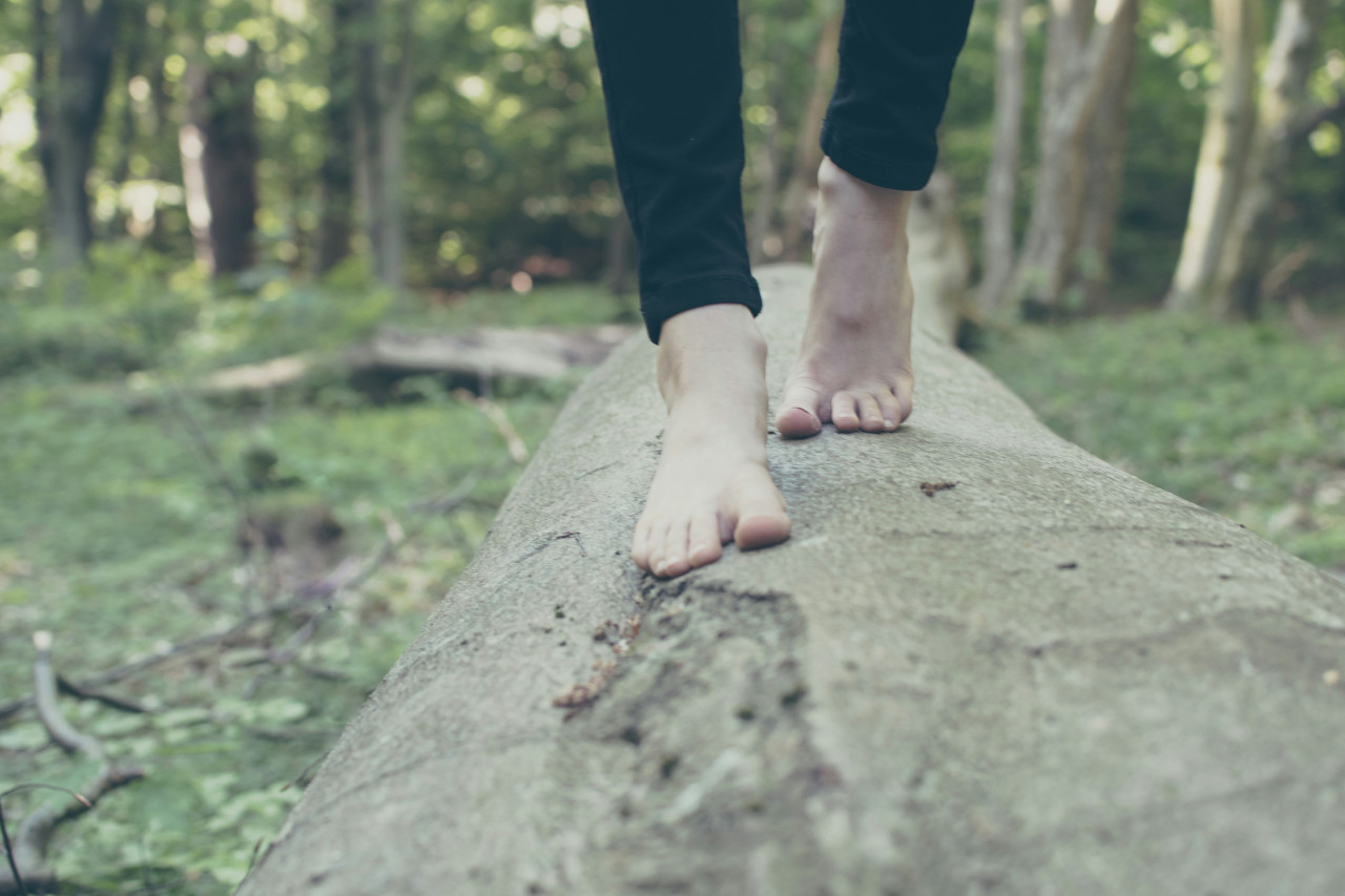 Pies. Foto: Unsplash