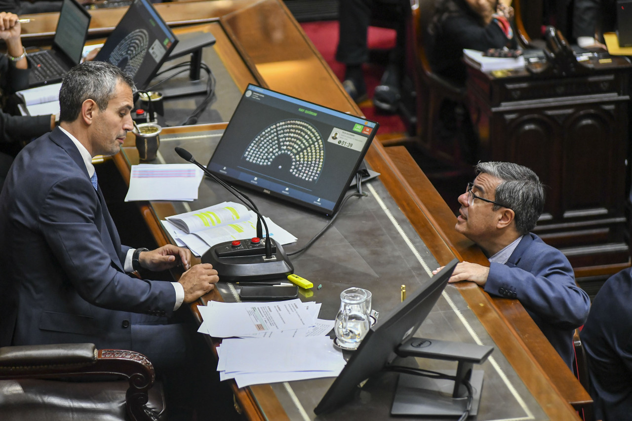 Tensión en la Cámara de Diputados durante el tratamiento de la Ley Bases. Foto: NA.