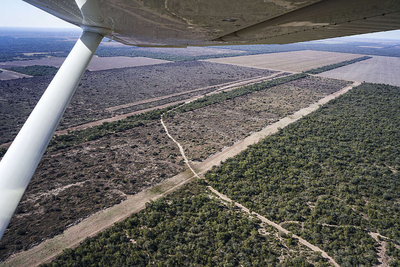 Deforestación y desmonte en Chaco. Foto: Greenpeace.