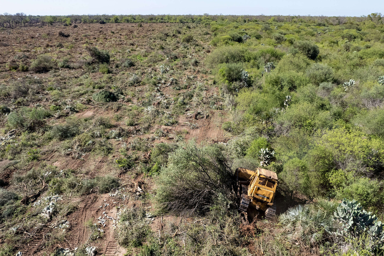 Deforestación y desmonte en Chaco. Foto: Greenpeace.