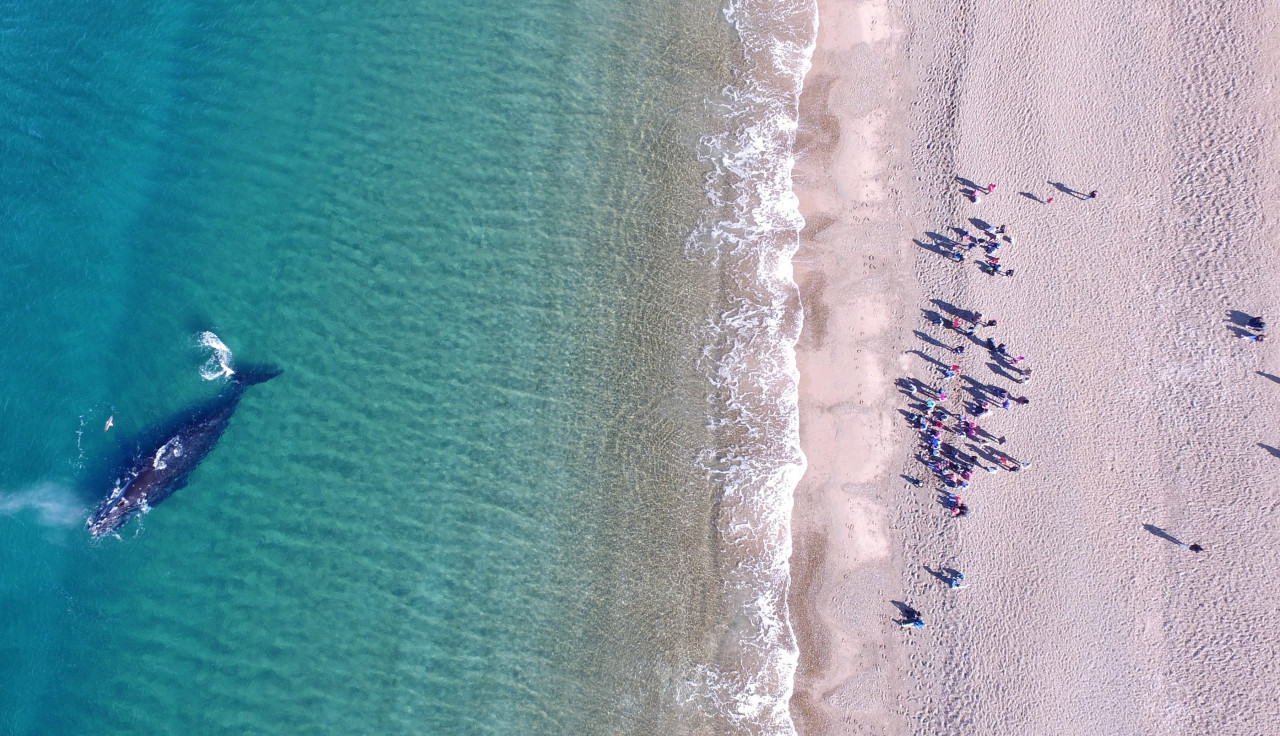 Playa El Doradillo, Chubut. Foto: X