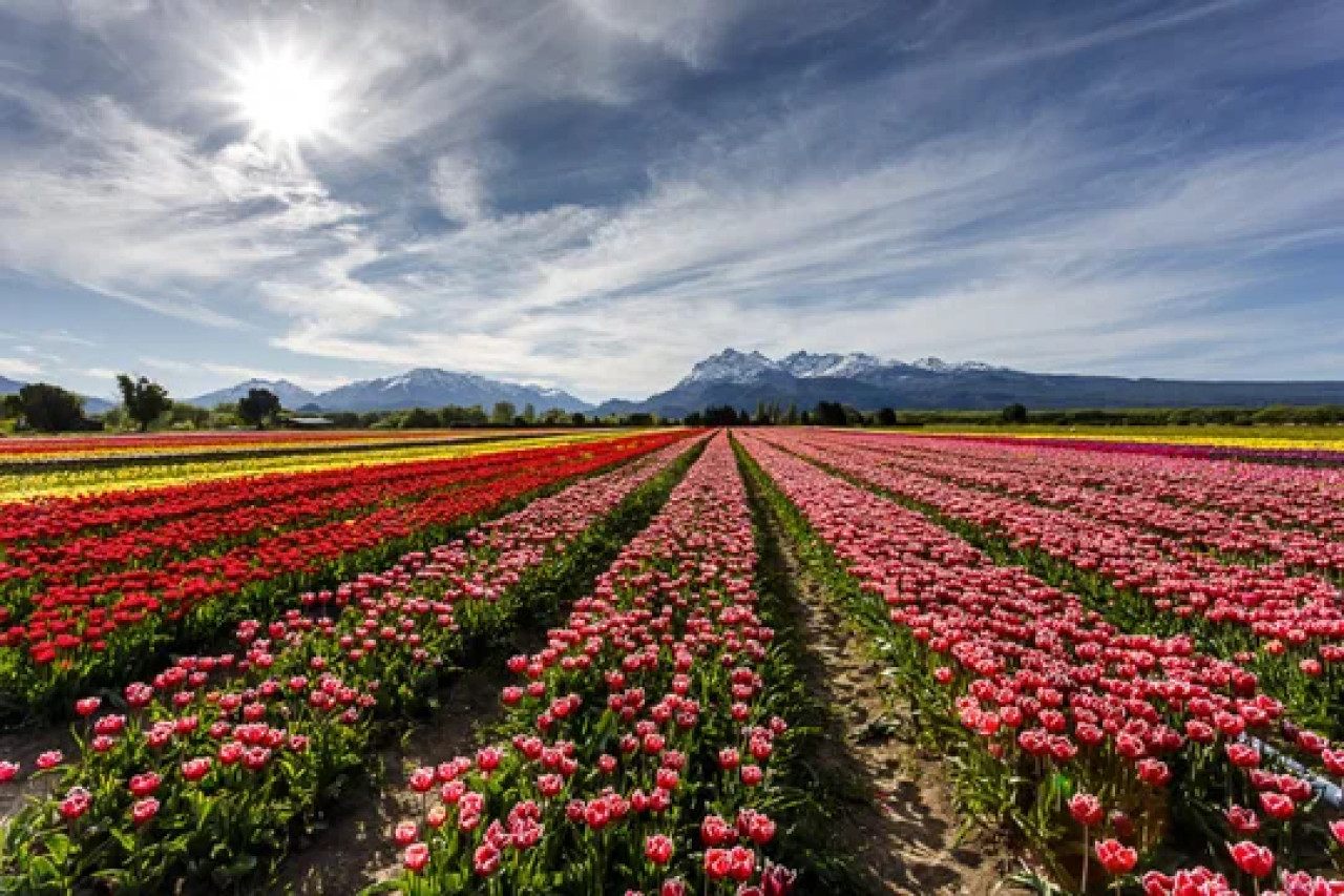 Trevelin, Chubut. Foto NA.