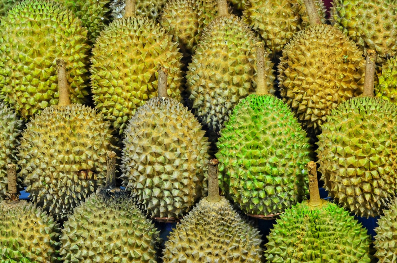 Durian, fruta. Foto Unsplash.