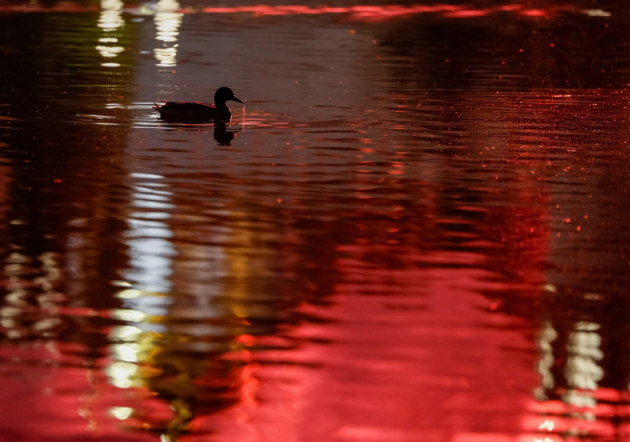 Día de la Victoria en Rusia. Foto: Reuters