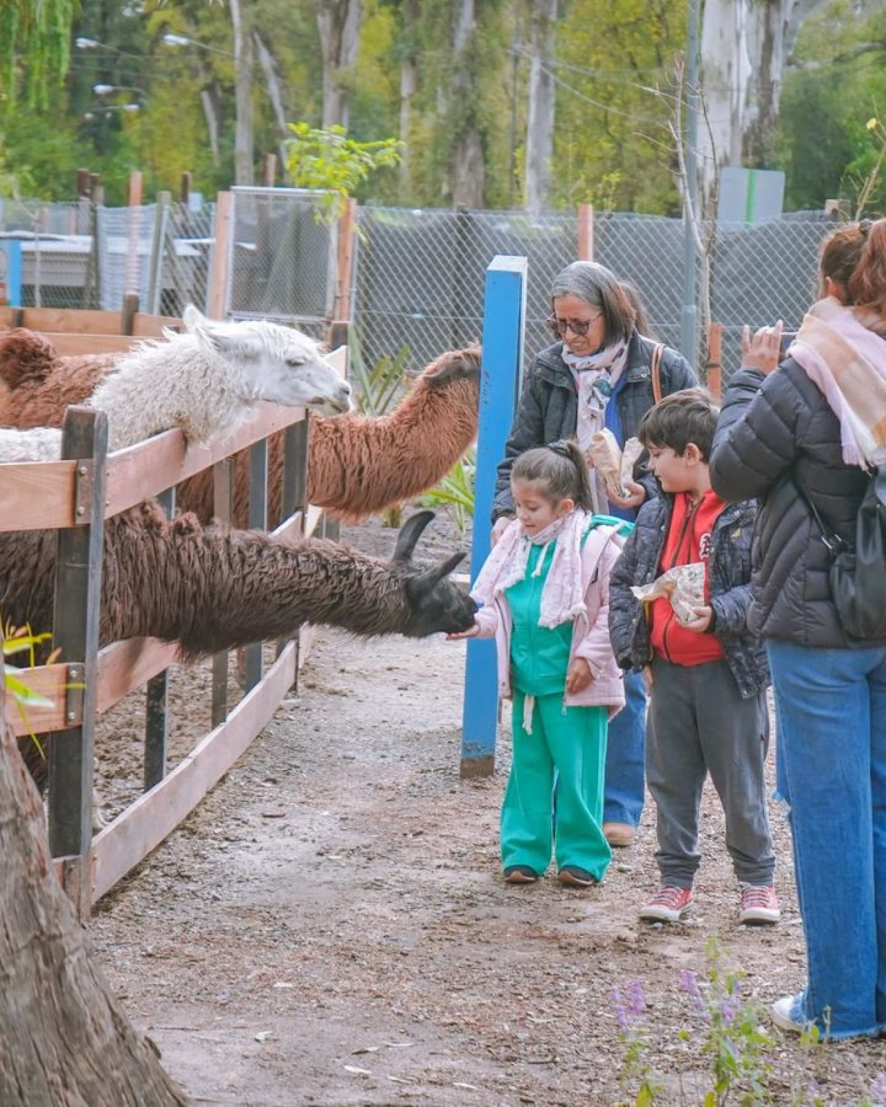 Granja Educativa Don Benito. Foto: Instagram/granjadonbenito