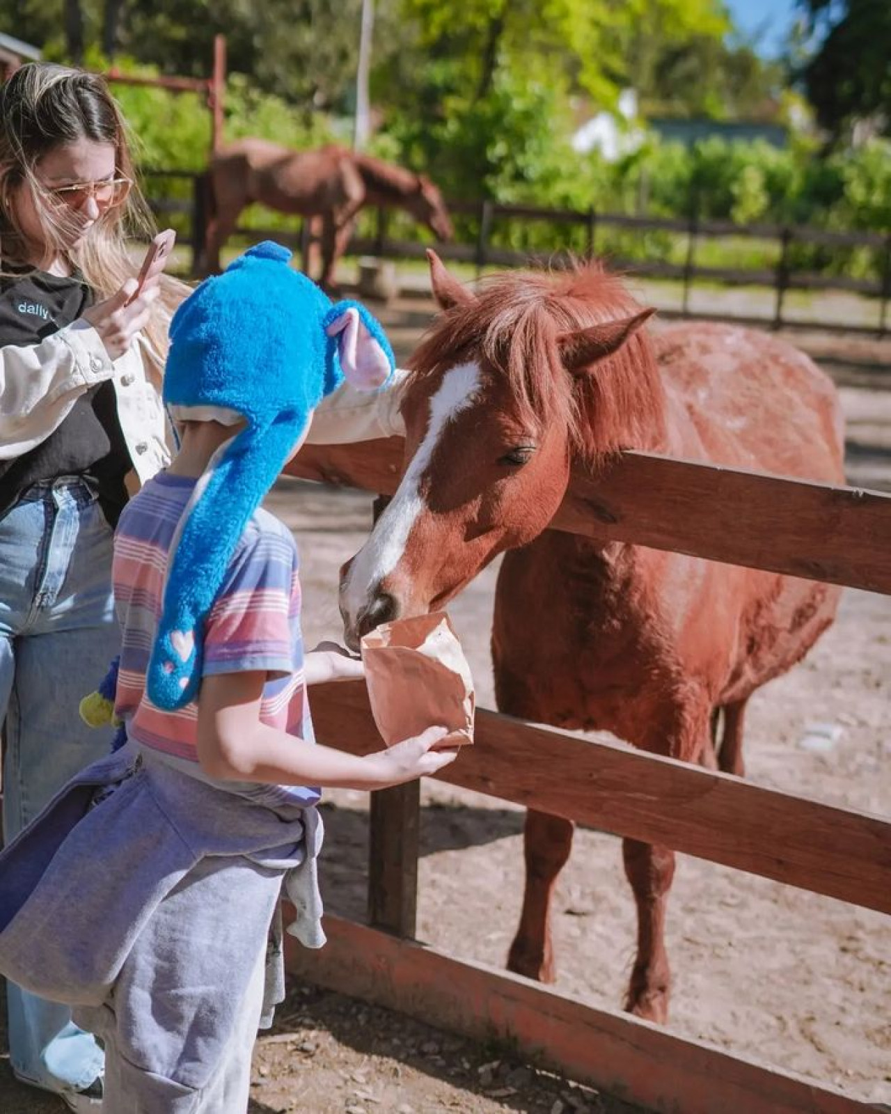 Granja Educativa Don Benito. Foto: Instagram/granjadonbenito