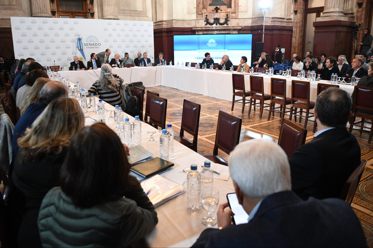 Senadores tratan la Ley Bases. Foto: X @SenadoArgentina