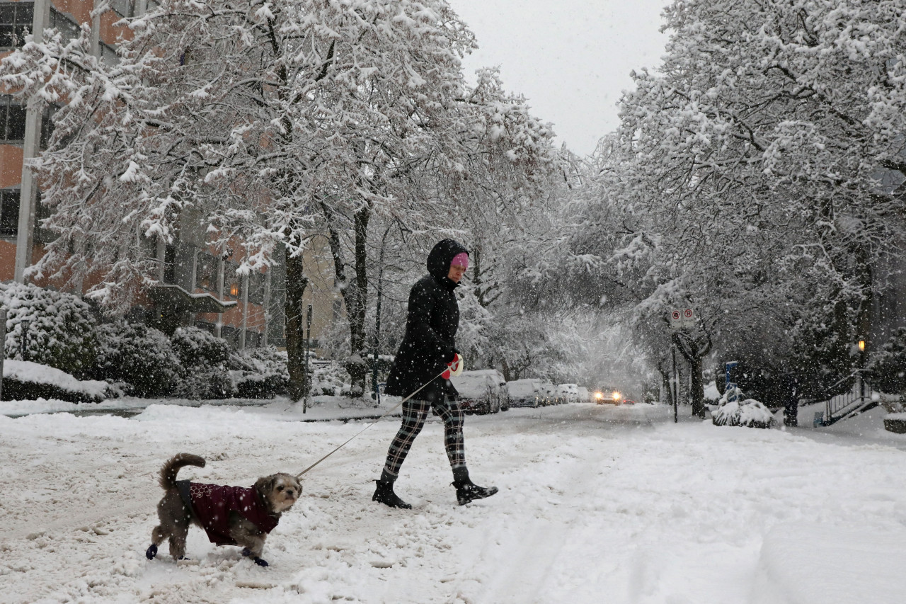 Nieve. Foto: NA.