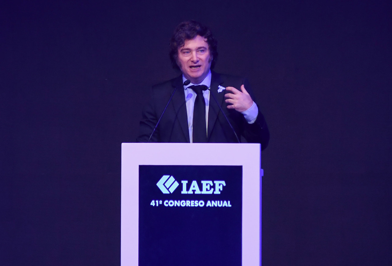 Javier Milei habló en el cierre del 41° Congreso Anual del IAEF. Foto: NA.