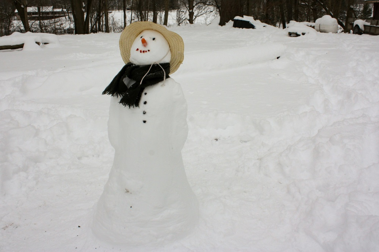 Muñeco de nieve. Foto: Unsplash.