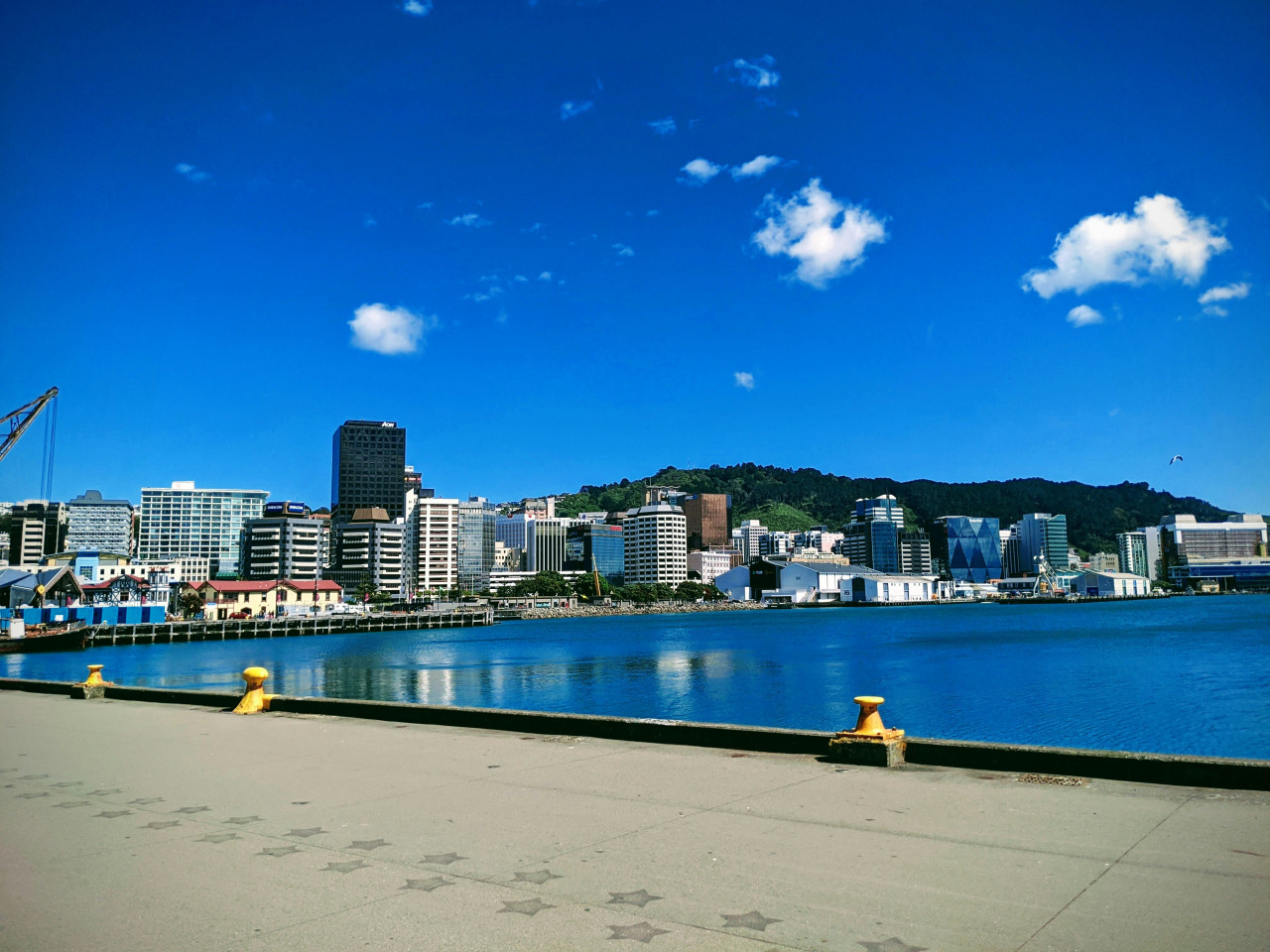 Wellington, Nueva Zelanda. Foto: Unsplash.