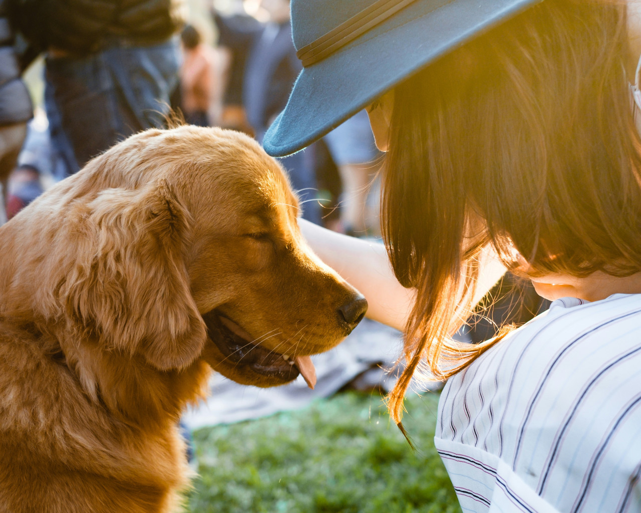 Perro. Foto: Unsplash