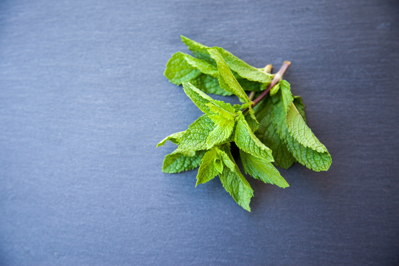 Menta. Foto: Unsplash.