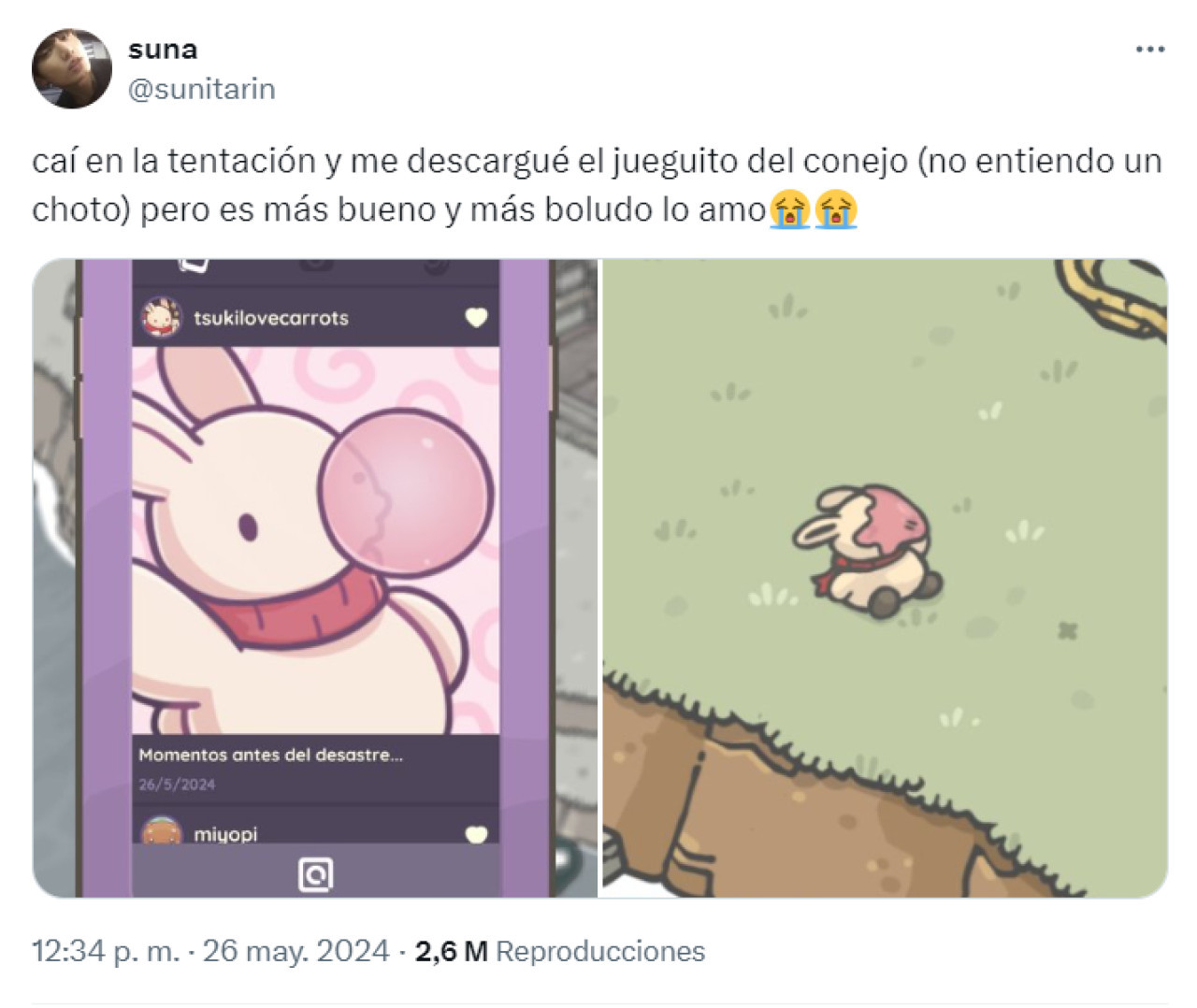 Memes sobre el videojuego del conejo que se volvió viral. Foto: X.