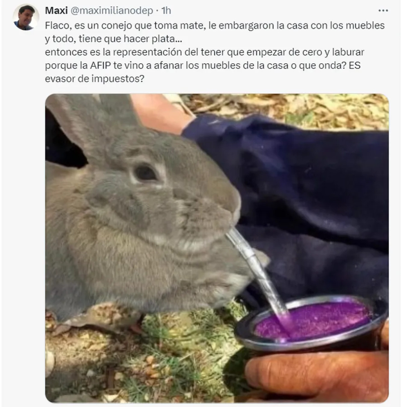 Memes sobre el videojuego del conejo que se volvió viral. Foto: X.