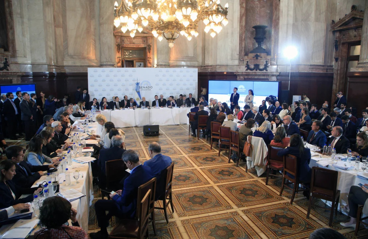 Senado, tratamiento de la Ley Bases y el Paquete Fiscal. Foto: NA