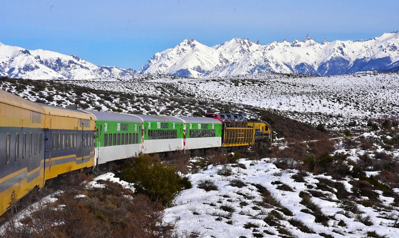 Tren Patagónico. Foto: NA