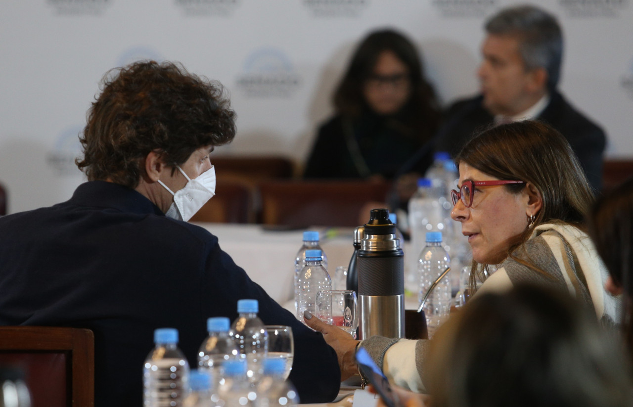 Senado de la Nación en la que se discute el proyecto de Ley de Bases y Puntos de Partida para la Libertad de los Argentinos. Los senadores Martín Lousteau y Guadalupe Tagliaferri durante la reunión. Foto NA.