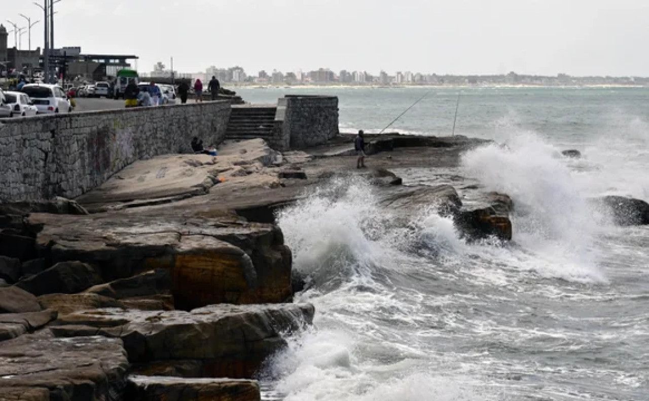 Acantilados de Mar del Plata. Foto NA.