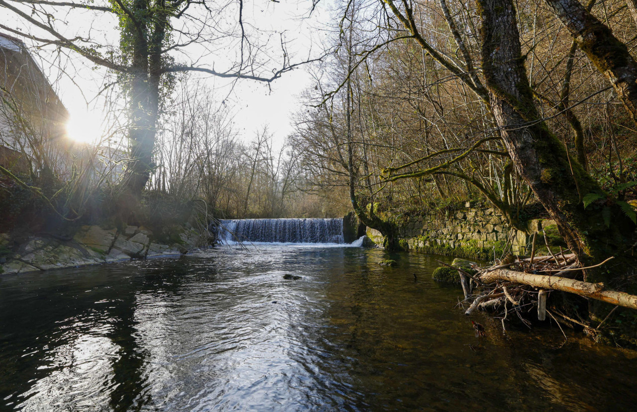 Ríos y arroyos. Foto: Foto: Unsplash