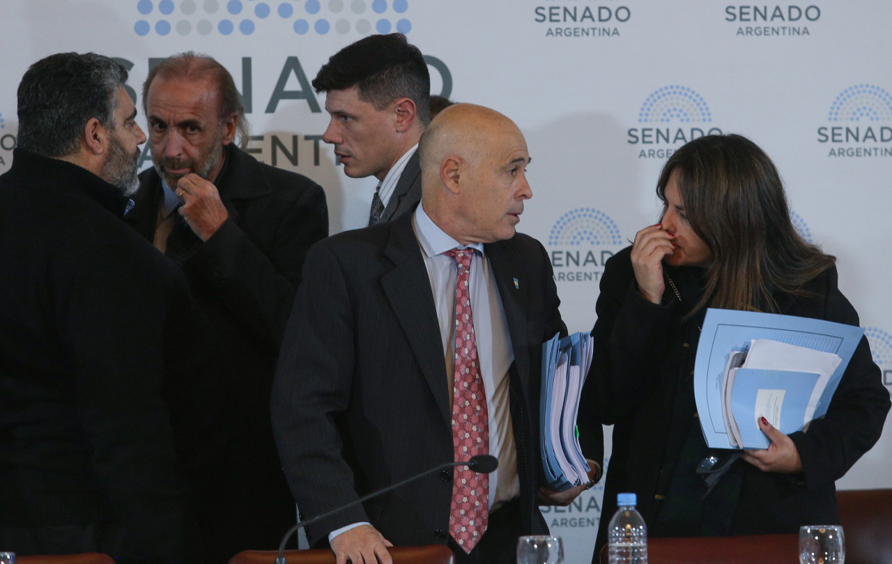 Tratamiento de Ley Bases en el Senado. Foto: NA