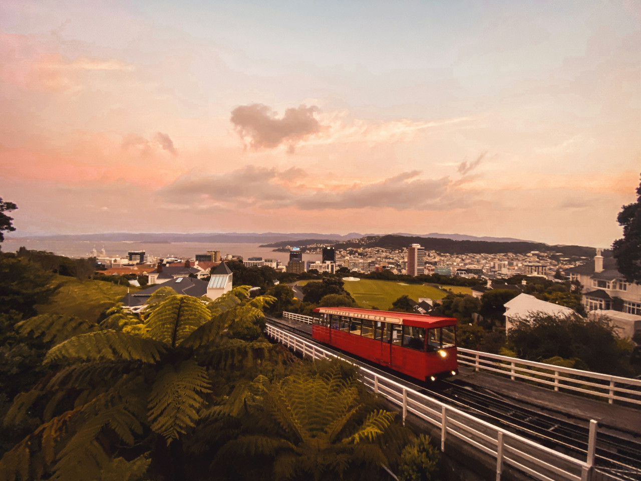 Wellington, Nueva Zelanda. Foto: Unsplash