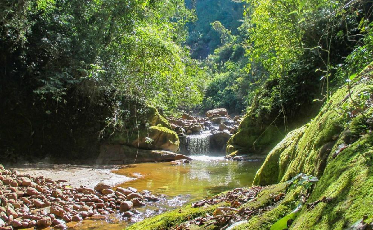 Las Yungas jujeñas. Foto: X