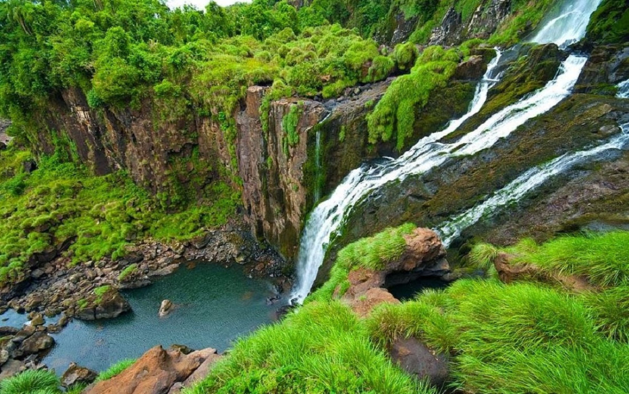 Las Yungas jujeñas. Foto: X