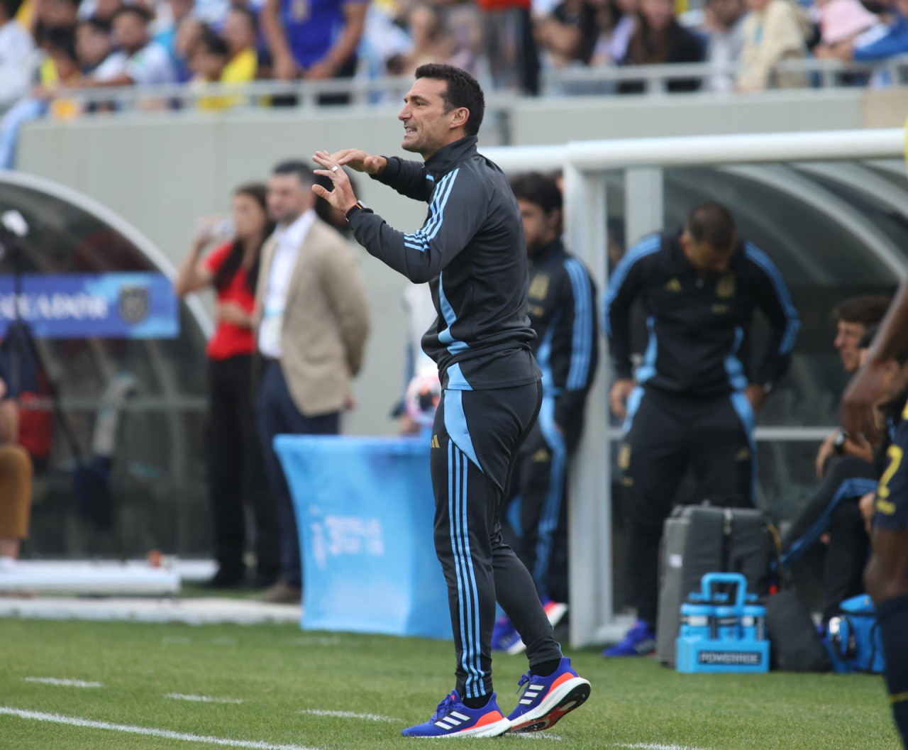 Lionel Scaloni, Argentina vs Ecuador. Foto: EFE.