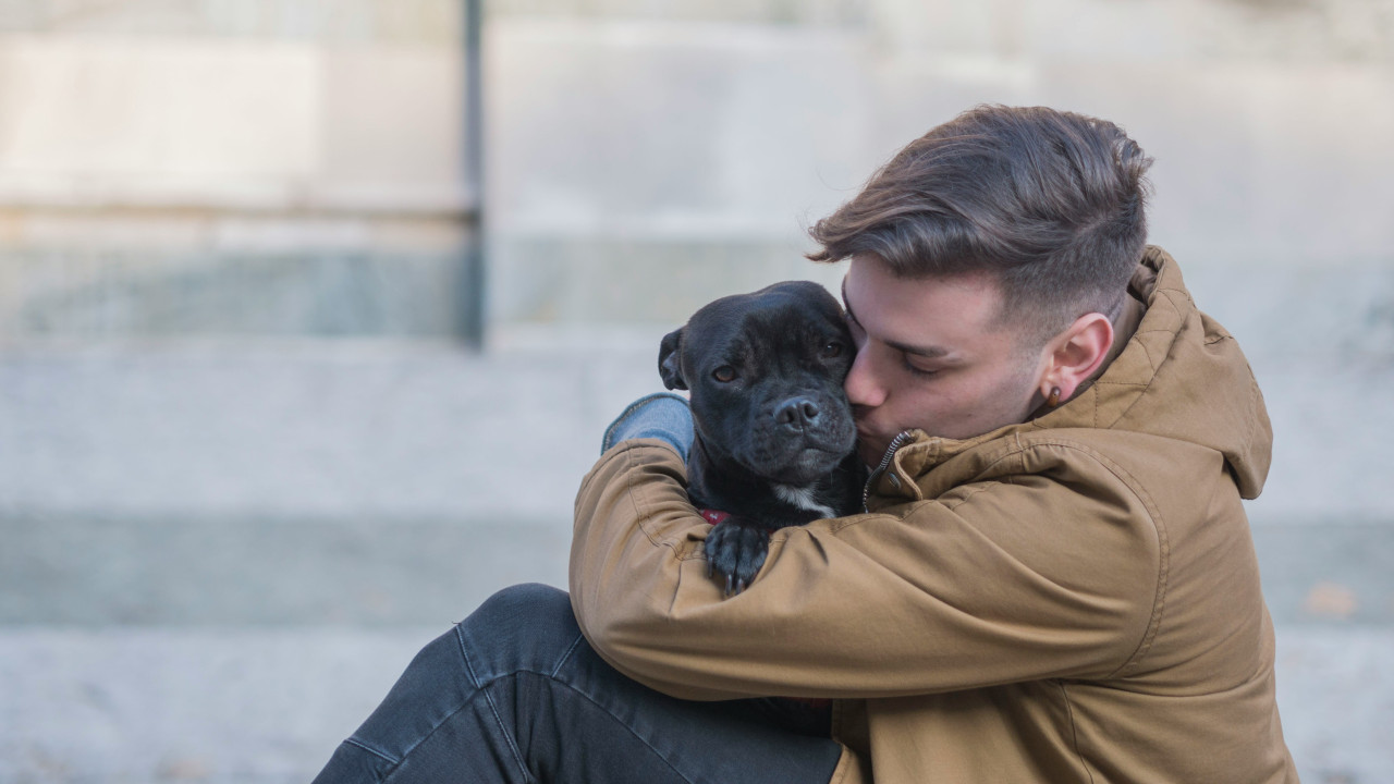 Perros. Foto: Unsplash