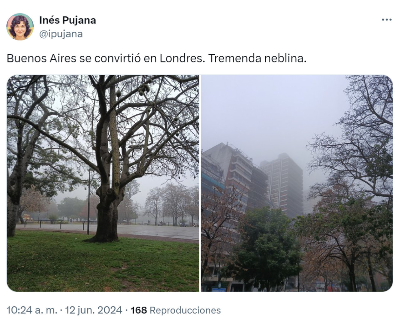 Las repercusiones en X por la neblina en Buenos Aires.