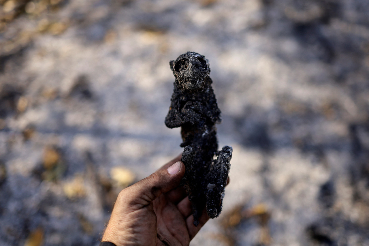 Incendio en el humedal Pantanal, en Brasil. Foto: Reuters.