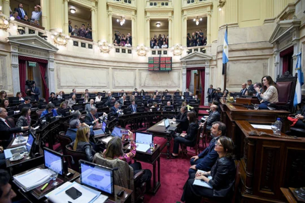 Senado; Ley Bases. Foto: NA