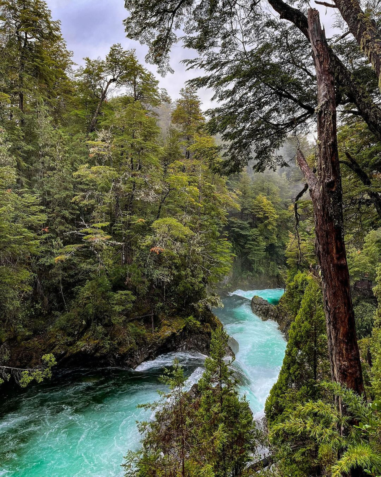 Cascada Los Alerces. Foto Instagram @will_fullwrap