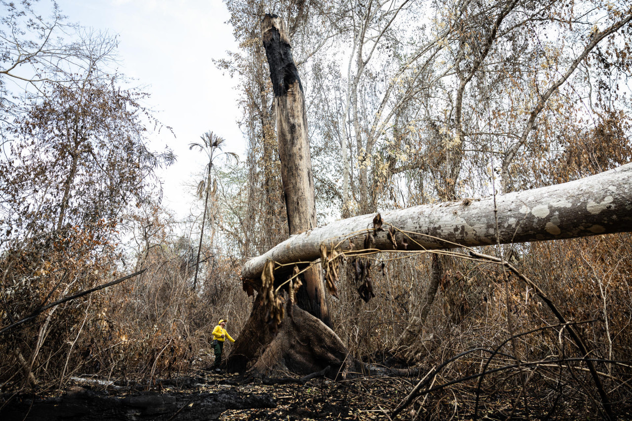 Incendios en Guatemala. Foto EFE.