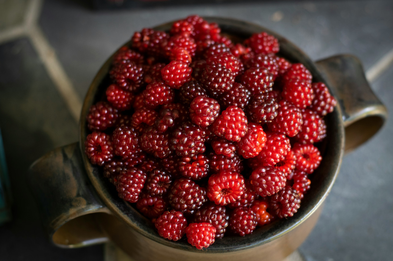 Desayuno, yogurt, comida, frambuesa, fruta. Foto: Unsplash